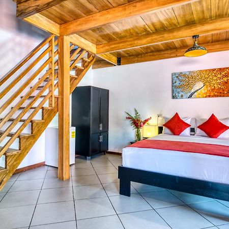 Terrazas Del Caribe Hotel Puerto Viejo de Talamanca Zewnętrze zdjęcie
