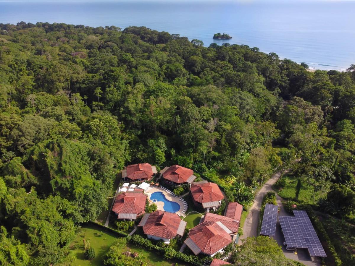Terrazas Del Caribe Hotel Puerto Viejo de Talamanca Zewnętrze zdjęcie